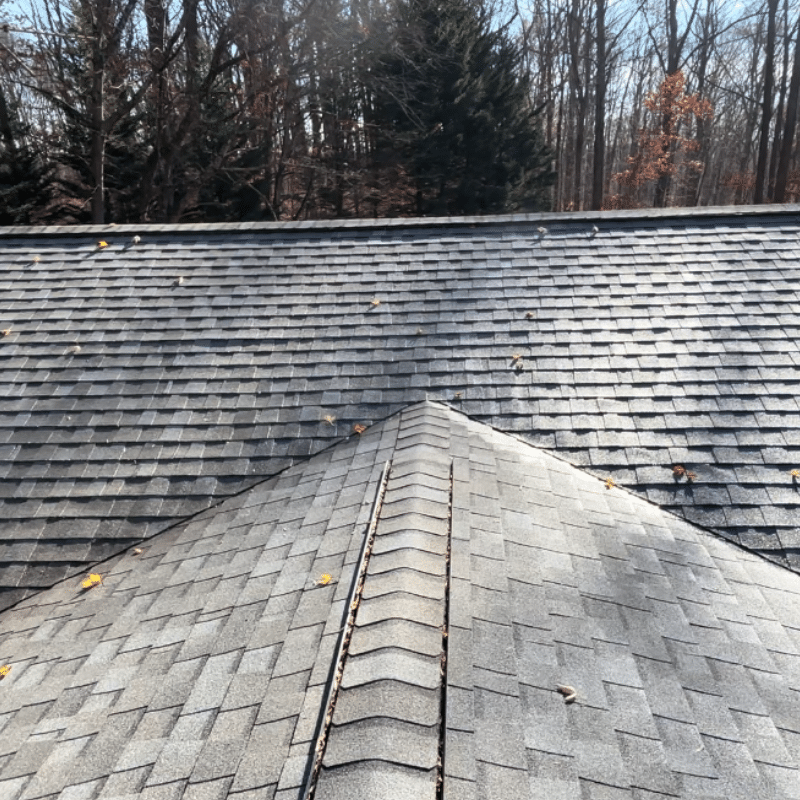 Roof Cleaning Company in Harford County, MD